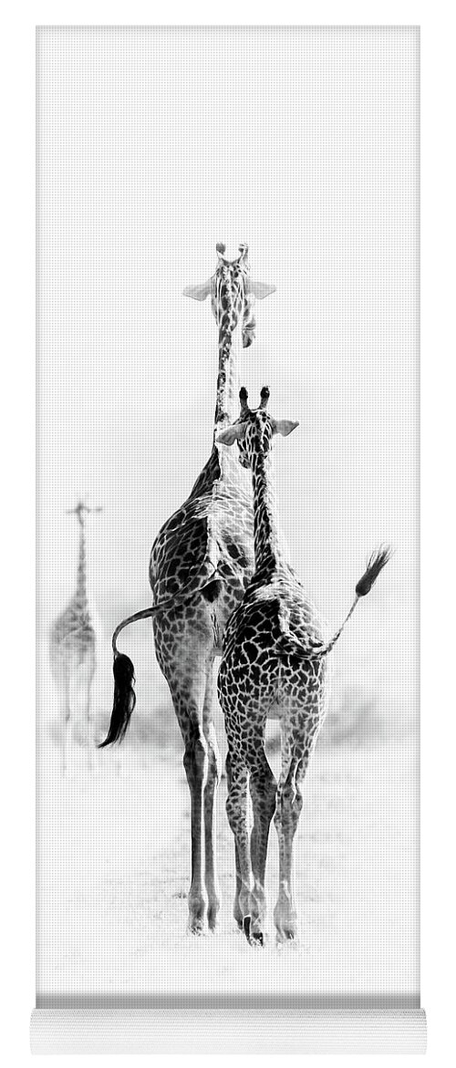 Giraffe Yoga Mat featuring the photograph Swish by Diana Andersen
