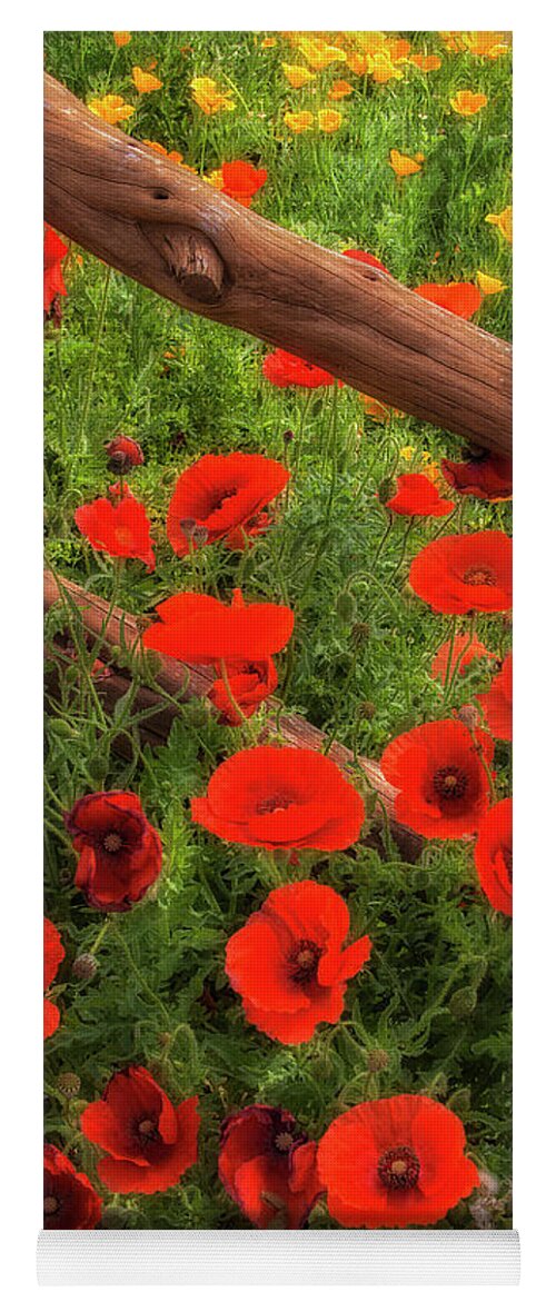 Wildflowers Yoga Mat featuring the photograph Texas Hill Country Wildflowers by Priscilla Burgers