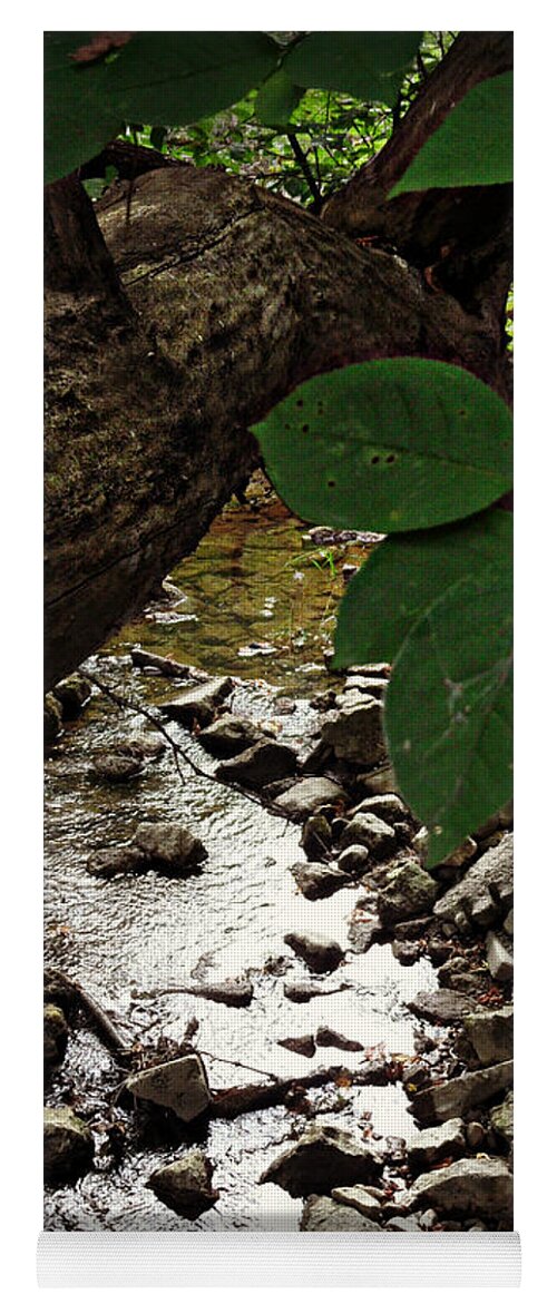 The Bluesy Bubbling Brook Yoga Mat featuring the photograph The Bluesy Bubbling Brook by Cyryn Fyrcyd