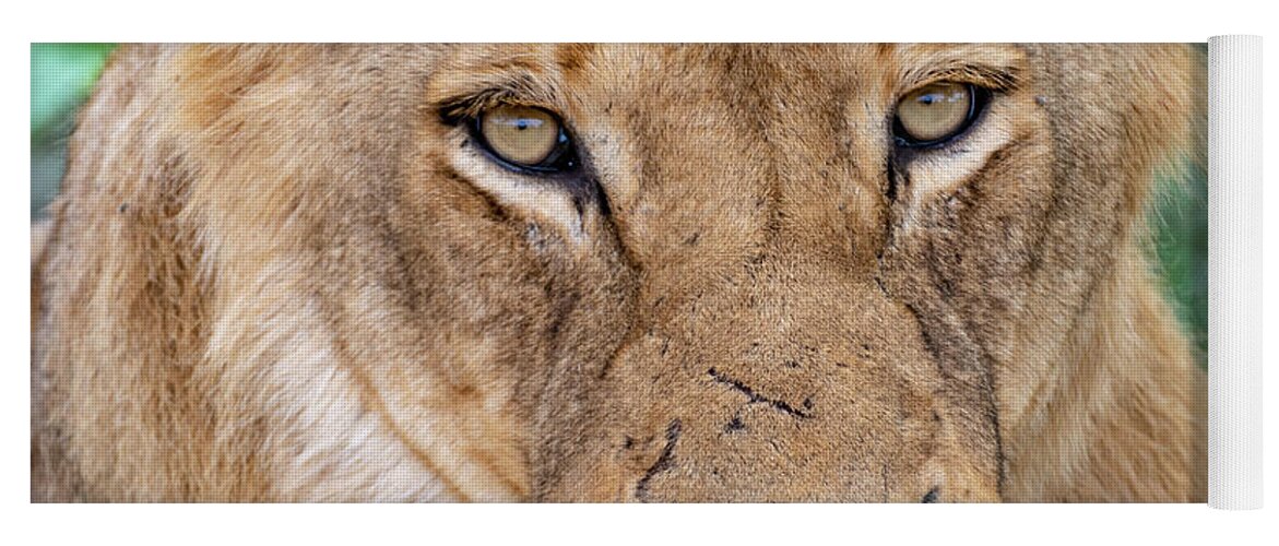 Lion Yoga Mat featuring the photograph The Face of Experience by Mark Hunter