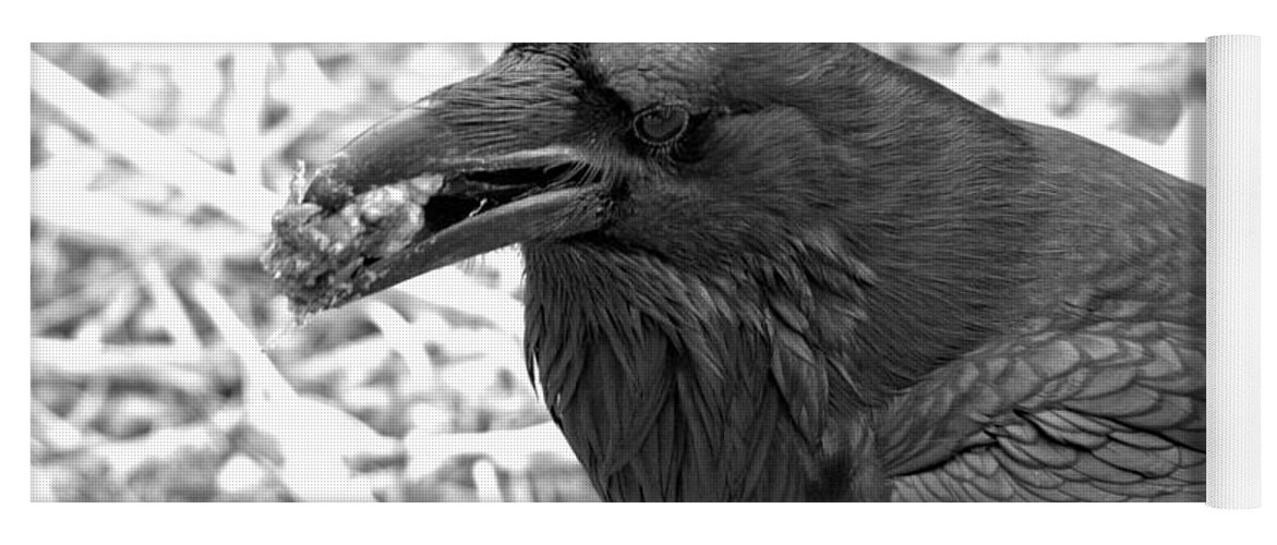 Raven Yoga Mat featuring the photograph The Ultimate Scavenger Black And White by Adam Jewell