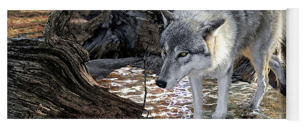 Wolf Yoga Mat featuring the photograph Timber Wolf Stalking by Jeannee Gannuch