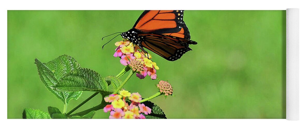 Butterfly Yoga Mat featuring the photograph Tiny Butterfly by Elaine Manley