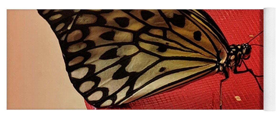 Butterfly Yoga Mat featuring the photograph Torn Butterfly by Portia Olaughlin