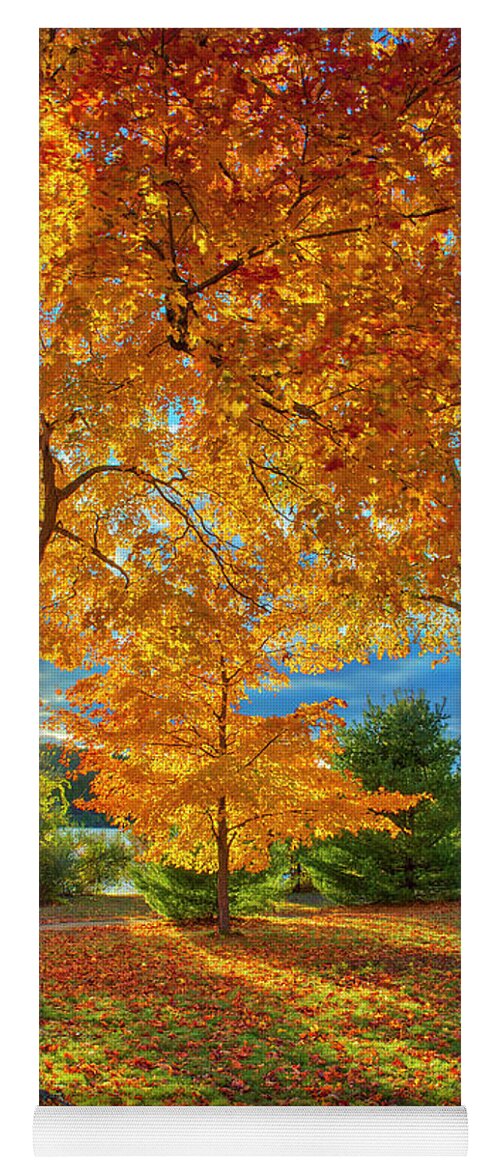 New England Fall Foliage Yoga Mat featuring the photograph Tree Magic by Juergen Roth