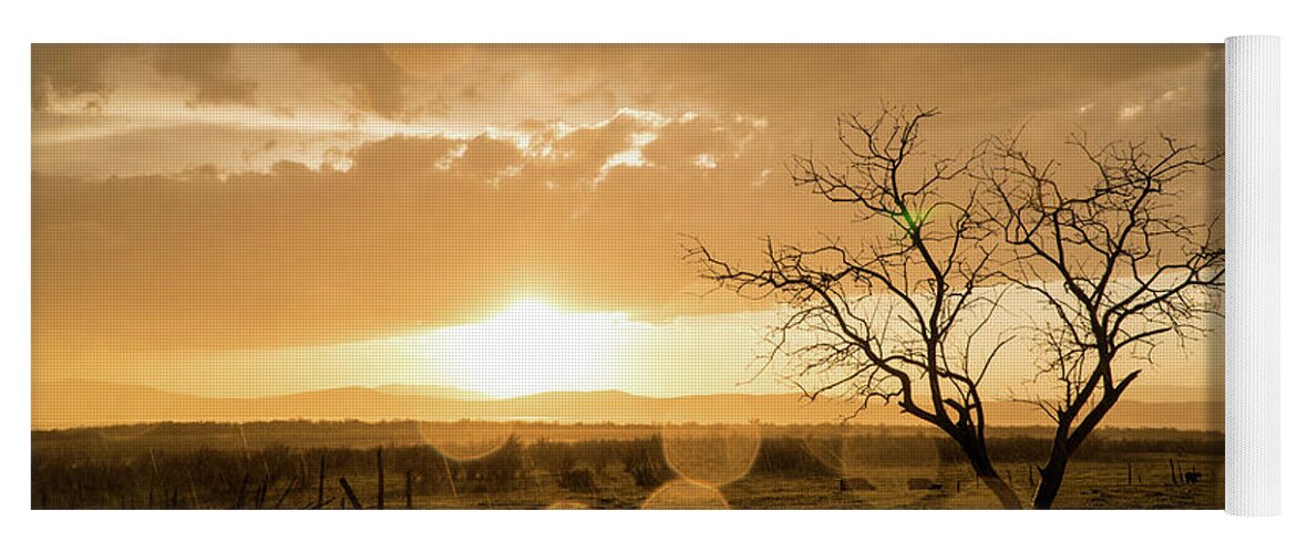 Sunset Yoga Mat featuring the photograph Tree Sunset by Wesley Aston