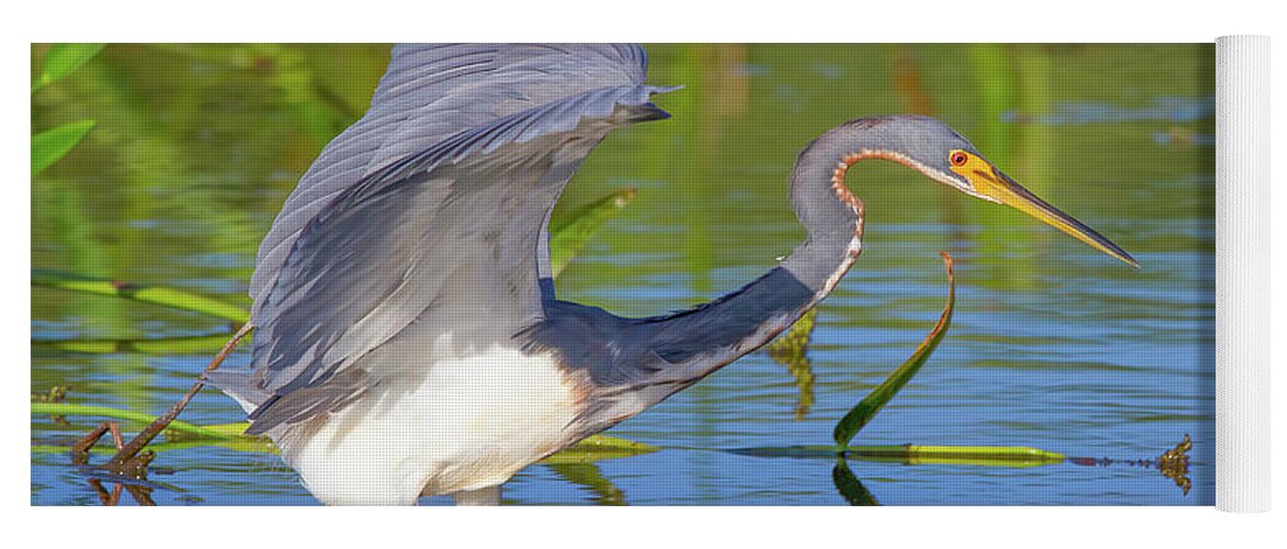 Bird Yoga Mat featuring the photograph Tricolored Heron at Sunset by Mark Andrew Thomas