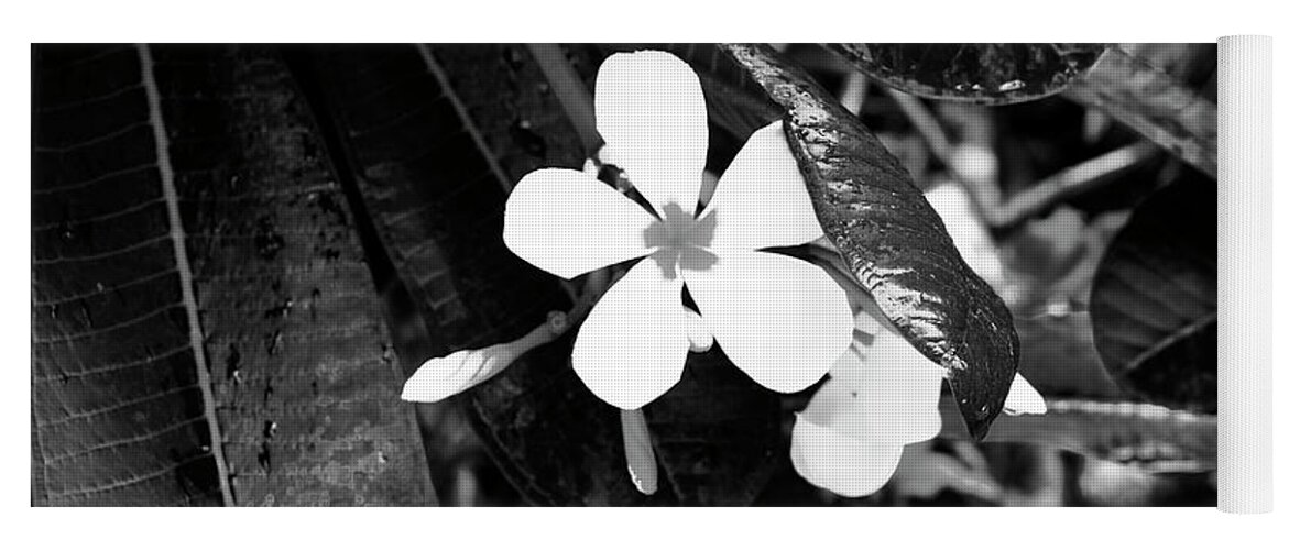 Tropical Flower In Black And White Yoga Mat
