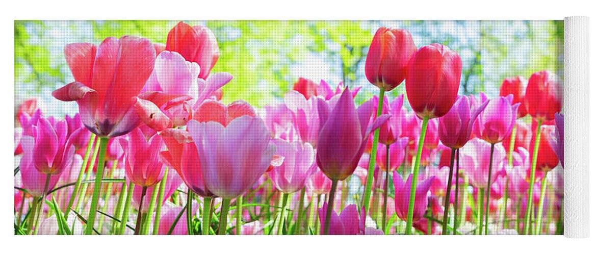 Tulips Yoga Mat featuring the photograph Tulips Pink Growth by Anastasy Yarmolovich