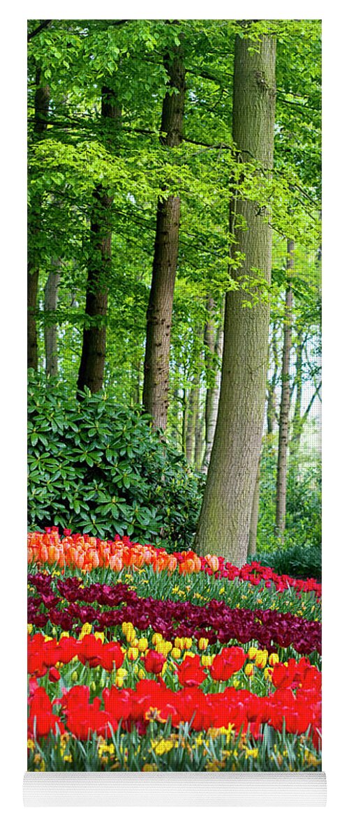 Jenny Rainbow Fine Art Photography Yoga Mat featuring the photograph Tulips Rows in Keukenhof by Jenny Rainbow