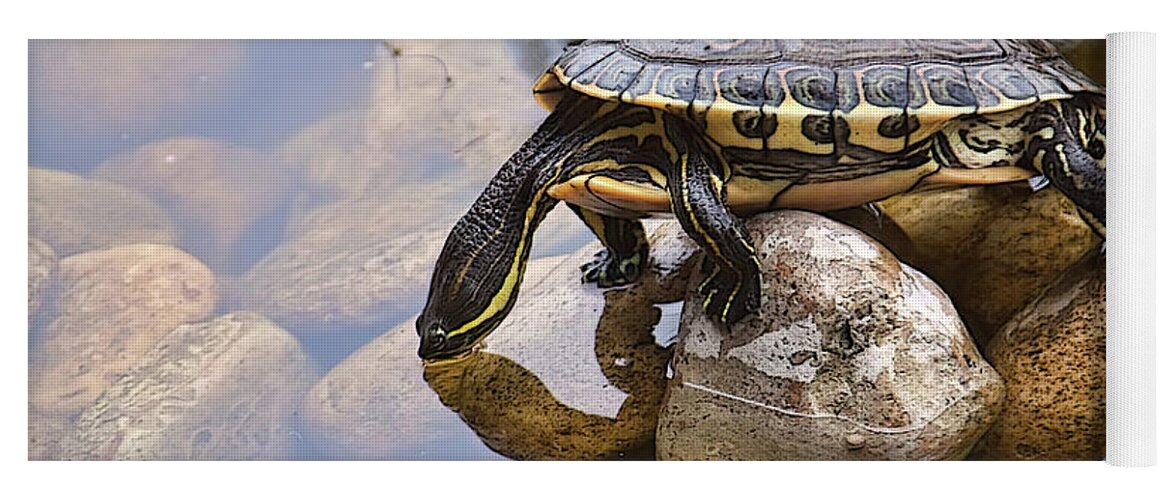 Turtle Yoga Mat featuring the photograph Turtle drinking water by Tatiana Travelways