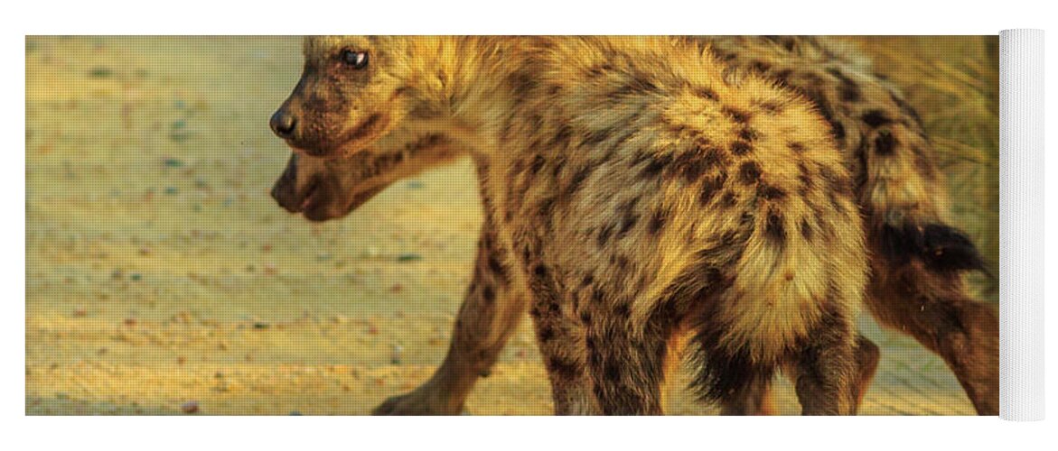 Hyena Yoga Mat featuring the photograph Two Hyena cubs by Benny Marty