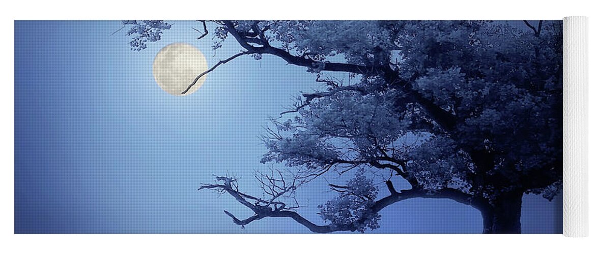 Amazing Yoga Mat featuring the photograph Under The Moon by Idrus Ids