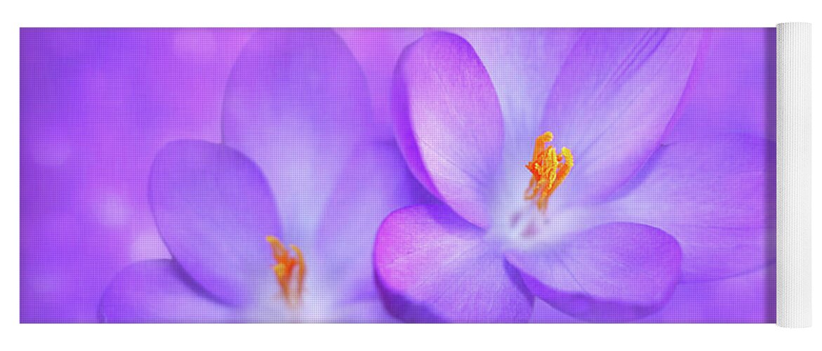 Purple Yoga Mat featuring the photograph Unison by Iryna Goodall