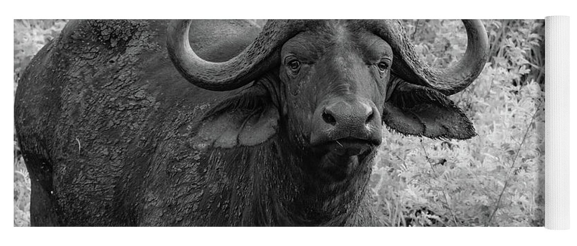 The Big Five Yoga Mat featuring the photograph Up Close to the Cape Buffalo, Black and White by Marcy Wielfaert