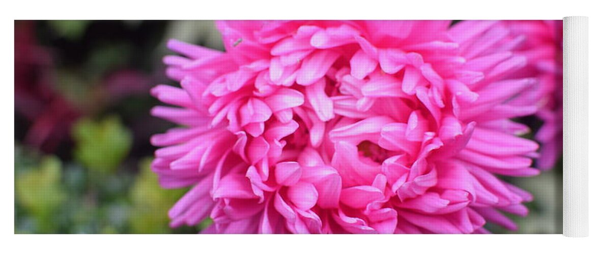 Vibrant Pink Yoga Mat featuring the photograph Vibrant Pink Flower by Abigail Diane Photography