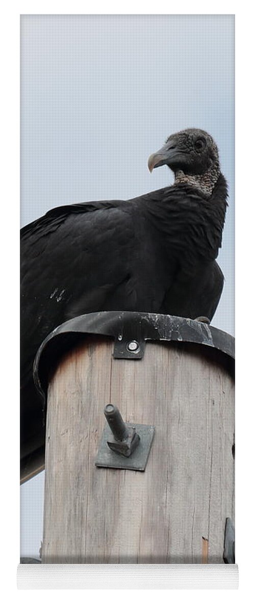 Vulture. Black Vulture Yoga Mat featuring the photograph Vulture 2955 by John Moyer