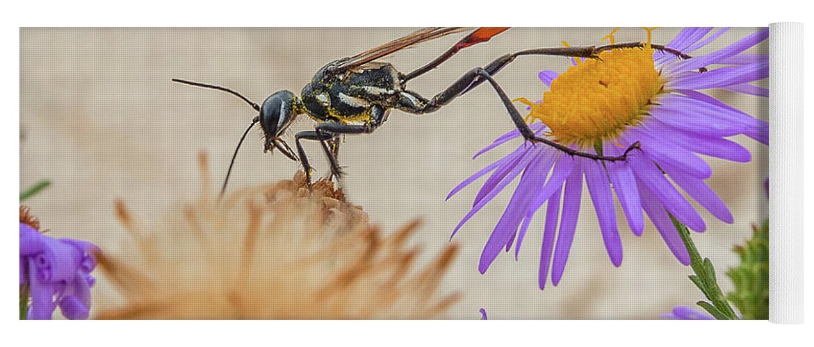 Wasp Yoga Mat featuring the photograph Wasp at White Sands by Adam Reinhart