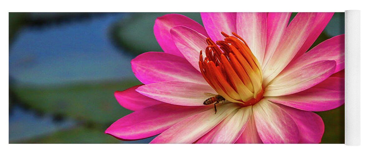 Lily Yoga Mat featuring the photograph Water Lily with Bee by Tom Claud