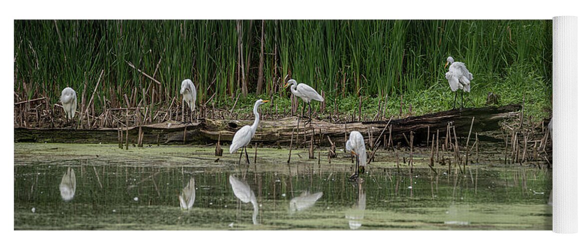 Egrets Yoga Mat featuring the photograph Wedge of Egrets by David Bearden
