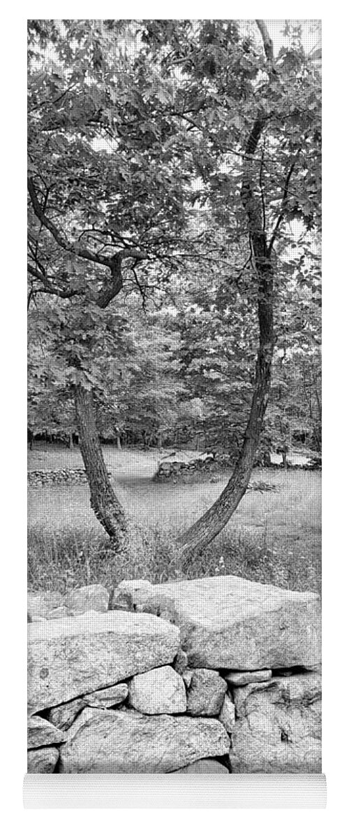 Weir Farms Yoga Mat featuring the photograph Weir Farm Stones And Trees B W by Rob Hans