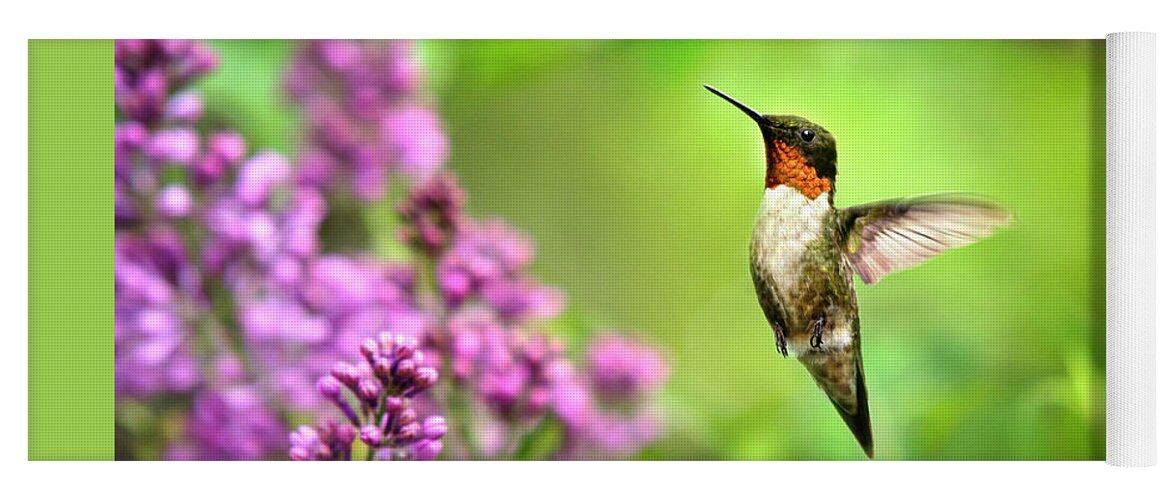 Hummingbird Yoga Mat featuring the photograph Welcome Home Hummingbird by Christina Rollo