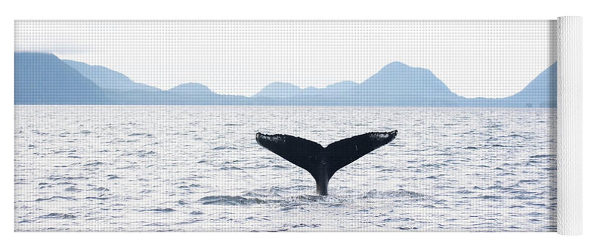 Whale Yoga Mat featuring the photograph Whale's Tail by Patrick Nowotny