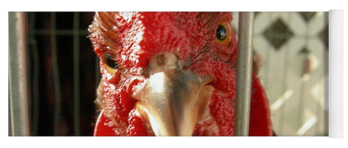 Rooster Yoga Mat featuring the photograph What you lookin' at? by Jean Evans