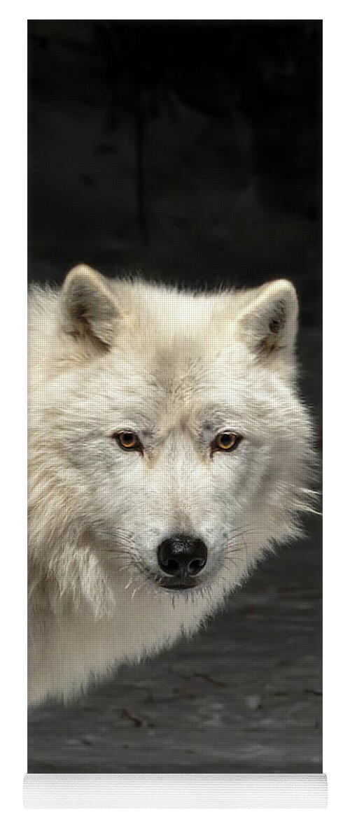 Wolf Yoga Mat featuring the photograph What's for Dinner? by Susan Rissi Tregoning