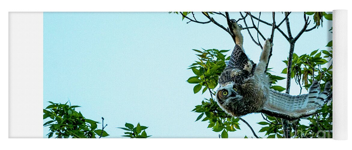 Nature Yoga Mat featuring the photograph What's Your Hang Up by Marvin Spates
