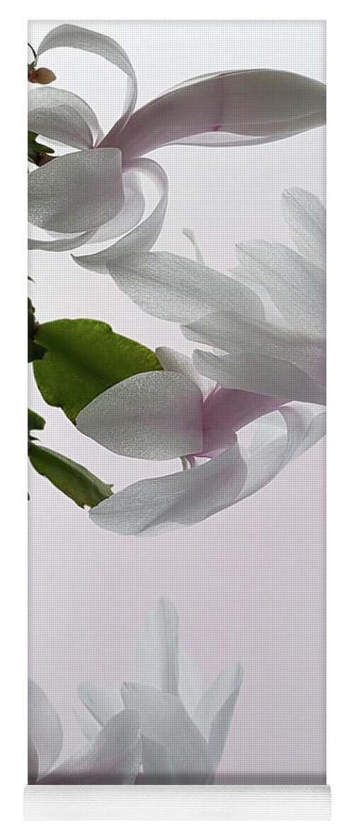 Floral Yoga Mat featuring the photograph White Christmas cactus by Shirley Mitchell