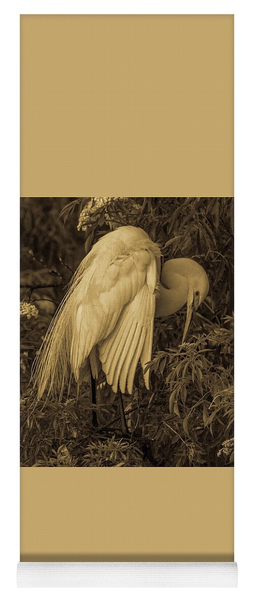 White Egret Yoga Mat featuring the photograph White Egret in Tree by Dorothy Cunningham