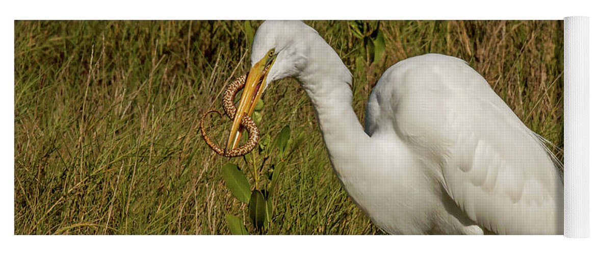 White Heron Yoga Mat featuring the photograph White Heron with Snake by Dorothy Cunningham