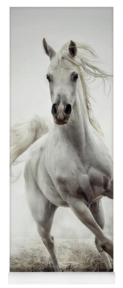 8,700+ Galloping Horses Stock Illustrations, Royalty-Free Vector Graphics &  Clip Art - iStock | Wild horses, White water rafting, Kitten