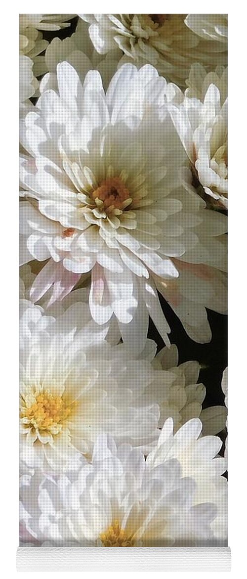 White Yoga Mat featuring the photograph - White Mums At Noon by THERESA Nye