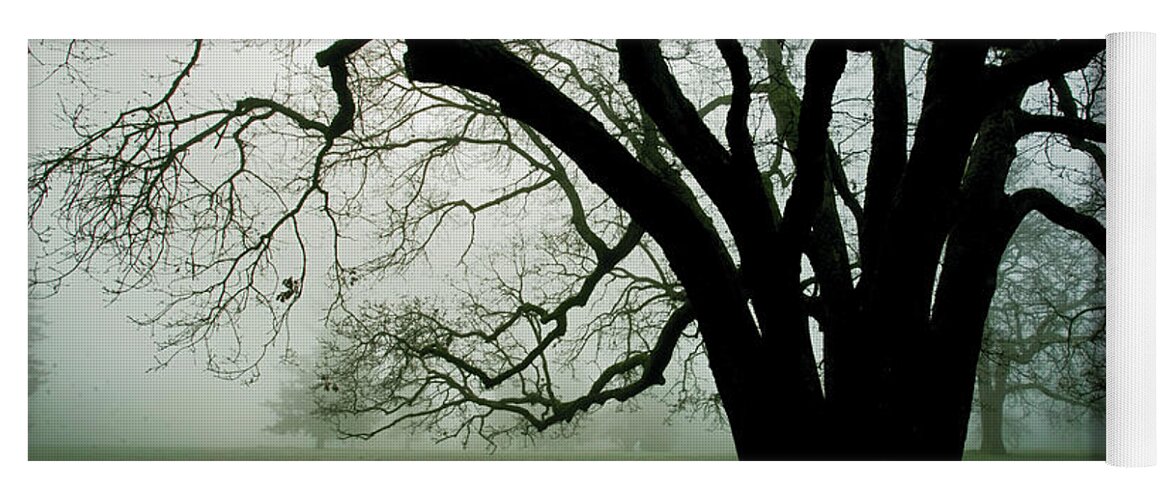 Fog Yoga Mat featuring the photograph White Oak in Fog by Rich Collins