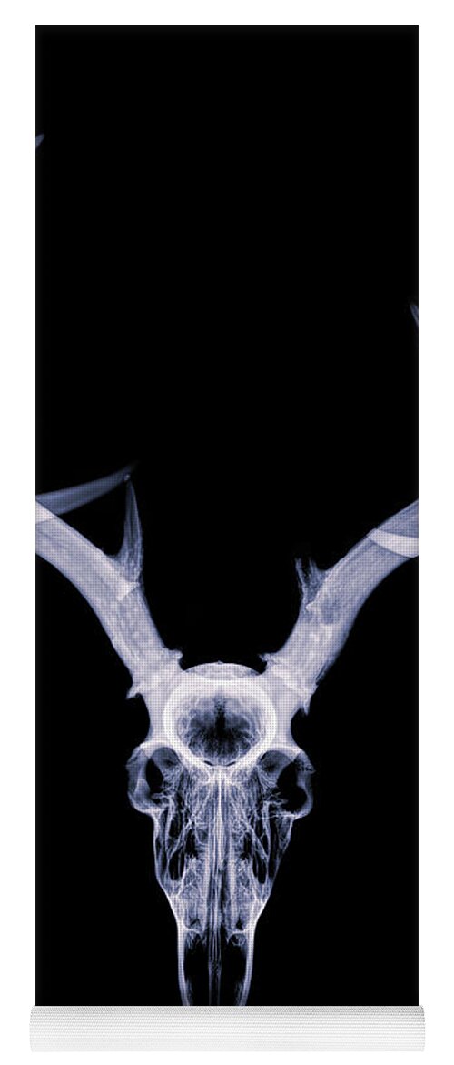 Kansas Yoga Mat featuring the photograph White-tailed Deer x-ray 002 by Rob Graham