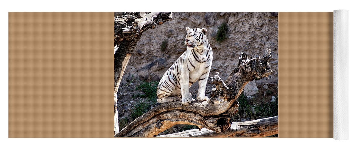 White Tiger Yoga Mat featuring the photograph White Tiger by Bearj B Photo Art