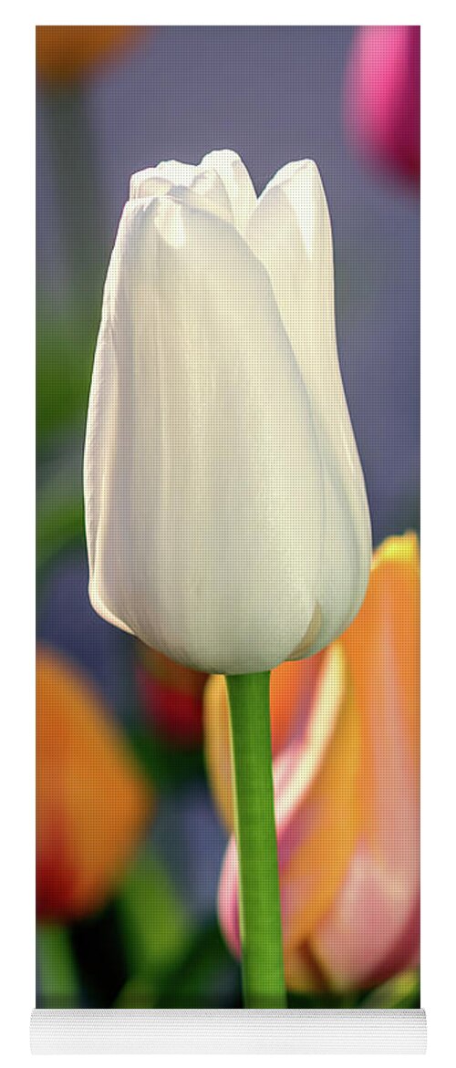 Tulips Yoga Mat featuring the photograph White tulip glow by Jack Clutter