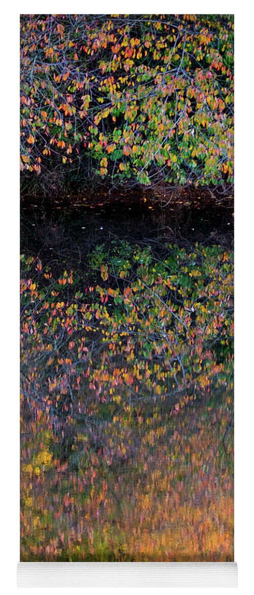 Wild Cherry Yoga Mat featuring the photograph Wild Cherry tree in the Fall, golden reflections on the river by Anita Nicholson