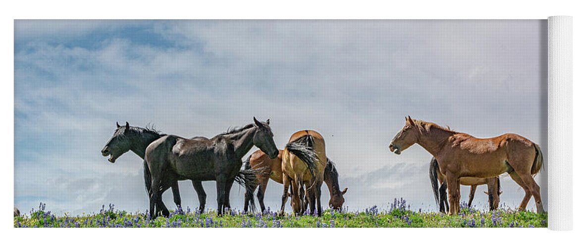 Pryor Mountain Yoga Mat featuring the photograph Wild Mustangs Against the Western Sky by Douglas Wielfaert