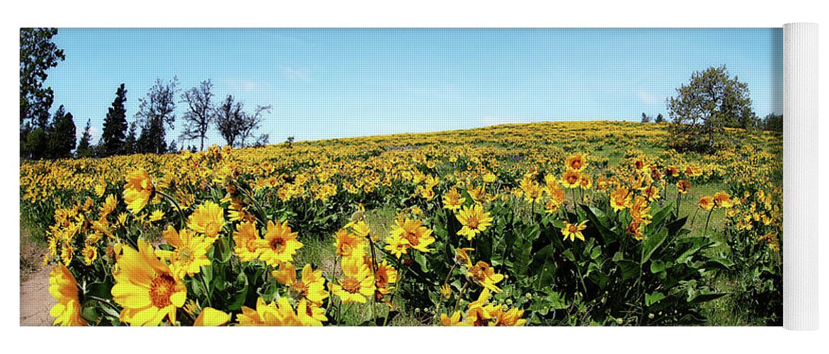 Wildflowers Yoga Mat featuring the photograph Wildflower Season by Sylvia Cook