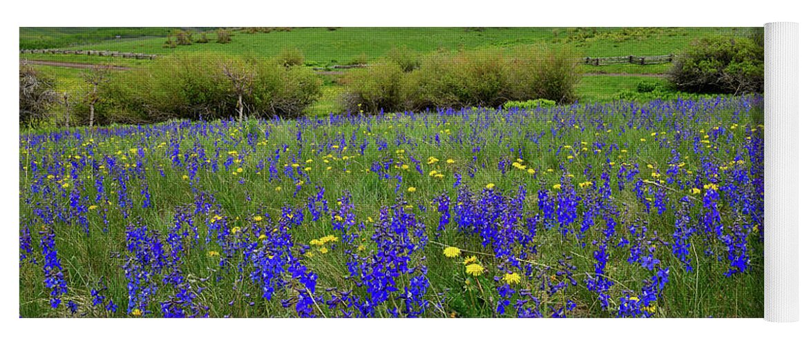 Ouray Yoga Mat featuring the photograph Wildflowers along Last Dollar Road by Ray Mathis