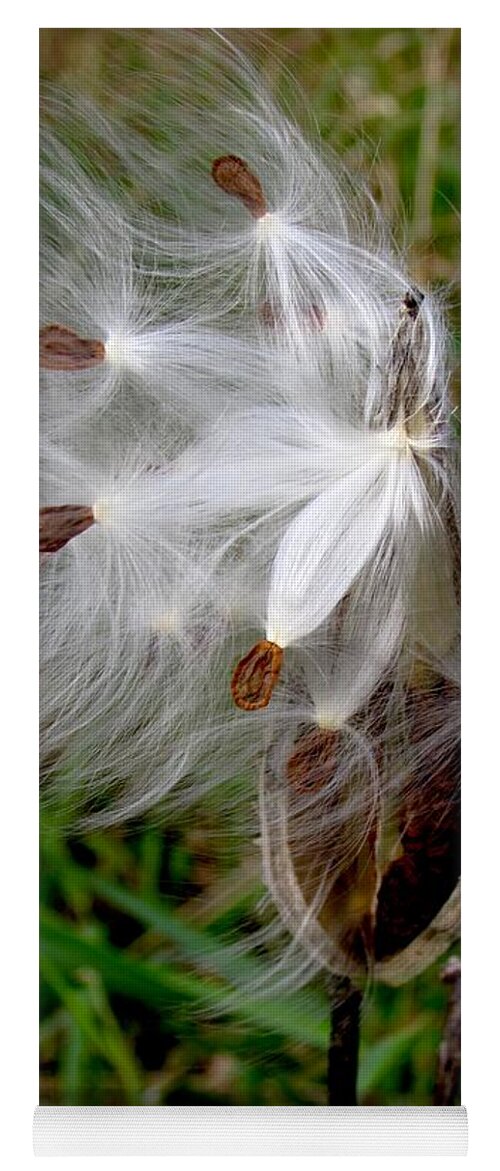 Milkweed Yoga Mat featuring the photograph Wind Dancers by Pamela Clements