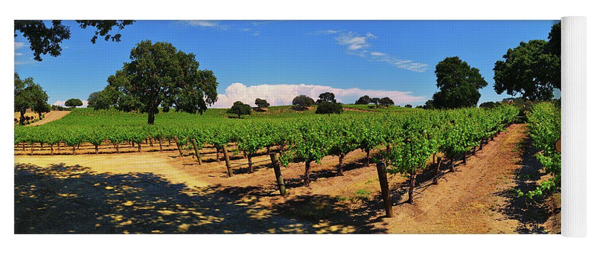 Wine Country Yoga Mat featuring the photograph Wine Country Panorama by Greg Norrell