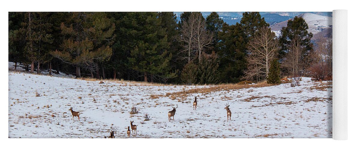Deer Yoga Mat featuring the photograph Winter Deer Herd by Steven Krull