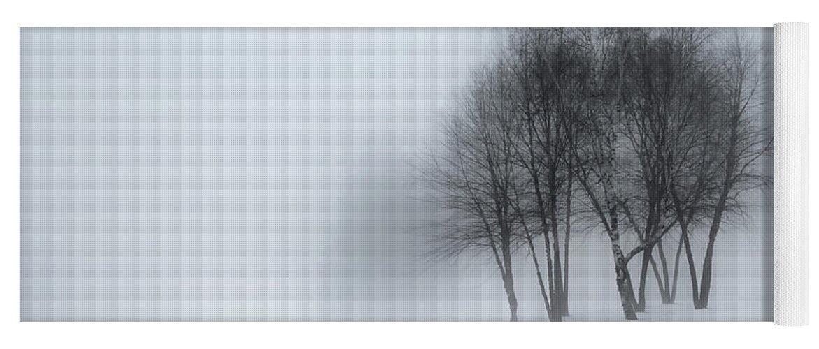 Winter Yoga Mat featuring the photograph Winter Dream by Bill Wakeley
