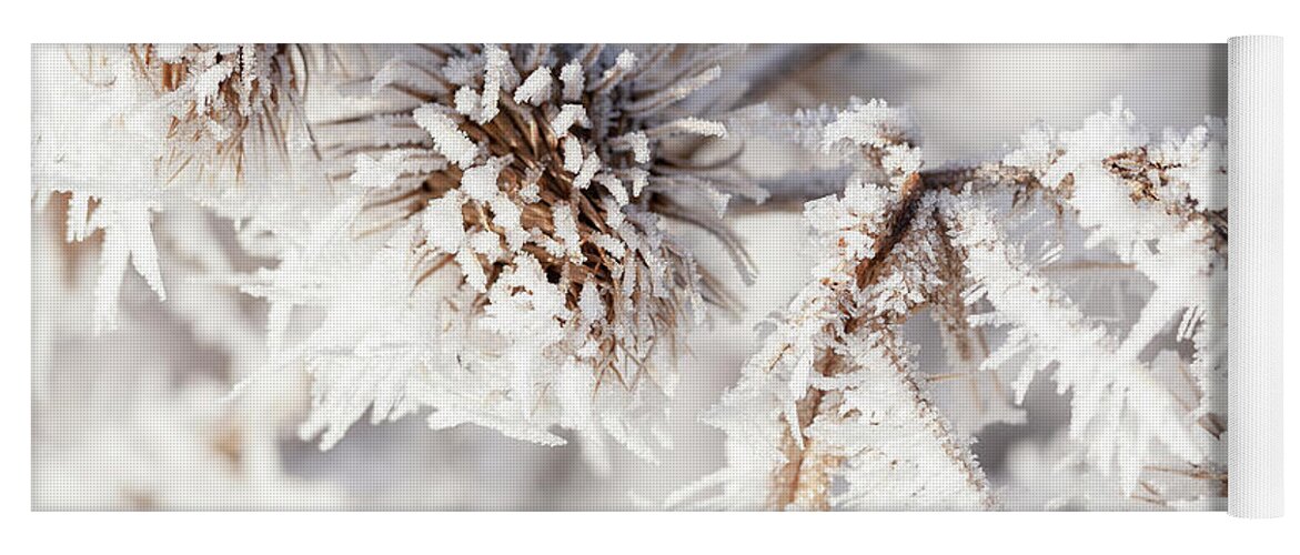 Freezing Yoga Mat featuring the photograph Winter frost on a garden thistle close up by Simon Bratt