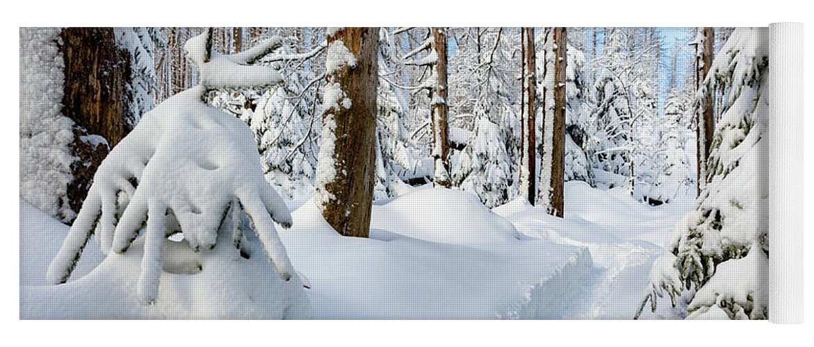 Photography Yoga Mat featuring the photograph winter path, Harz by Andreas Levi