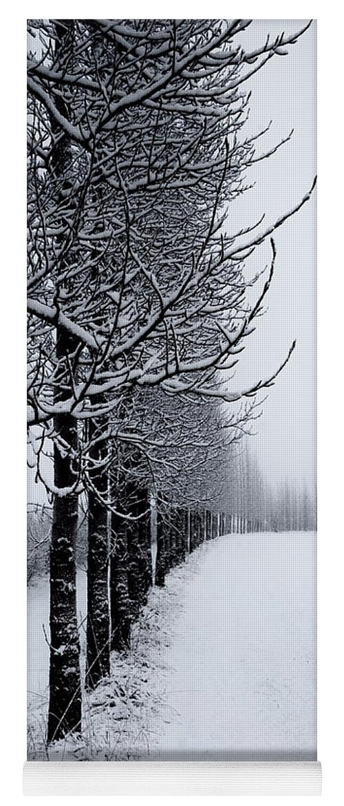 Line Yoga Mat featuring the photograph Winter Tree Line by David Soldano